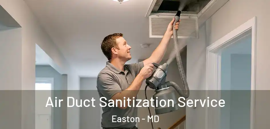 Air Duct Sanitization Service Easton - MD