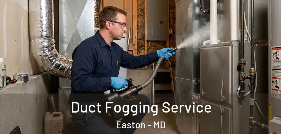 Duct Fogging Service Easton - MD
