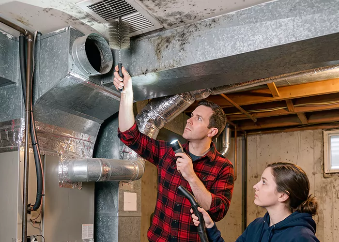 Premier HVAC Mold Remediation Company in Easton
