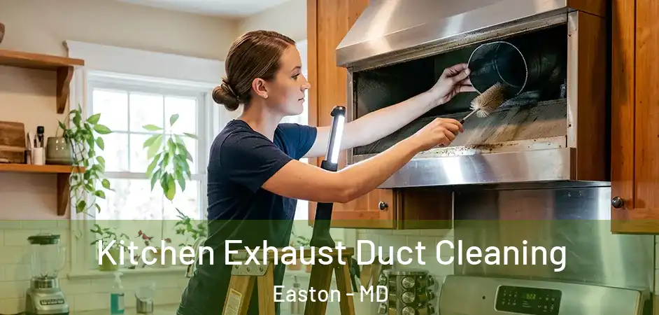 Kitchen Exhaust Duct Cleaning Easton - MD