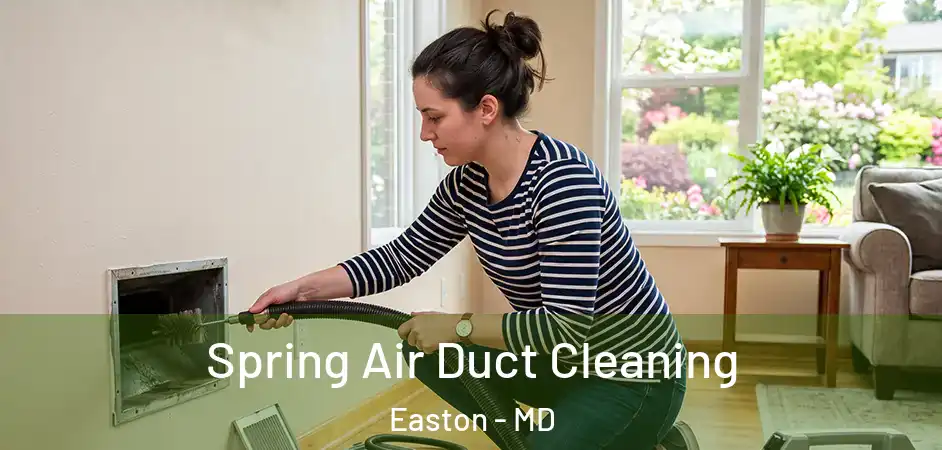 Spring Air Duct Cleaning Easton - MD